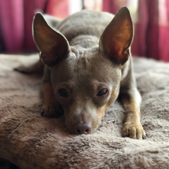 Meet your Posher, Rita Marie - Picture 6 of 10